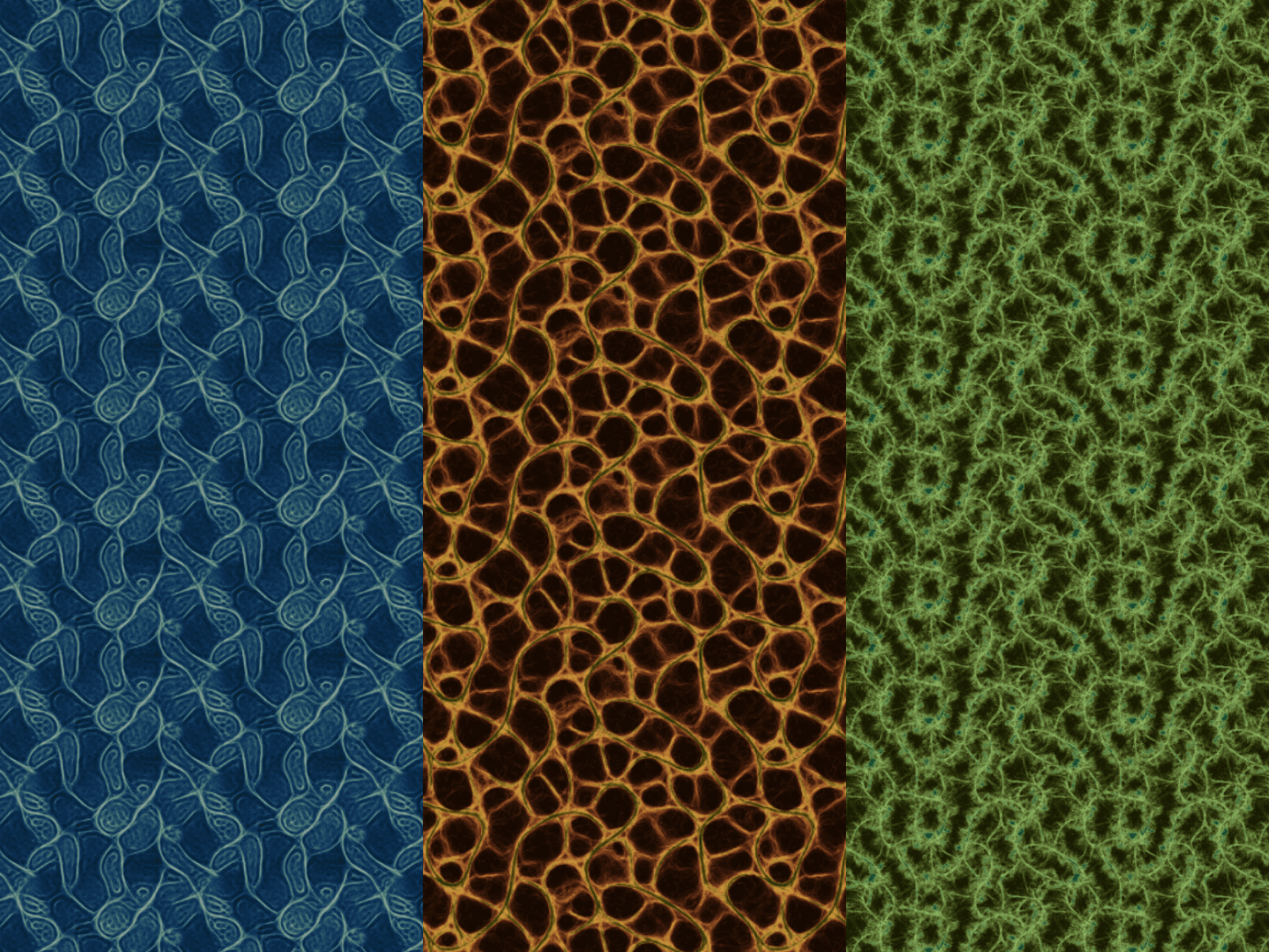 Emergence