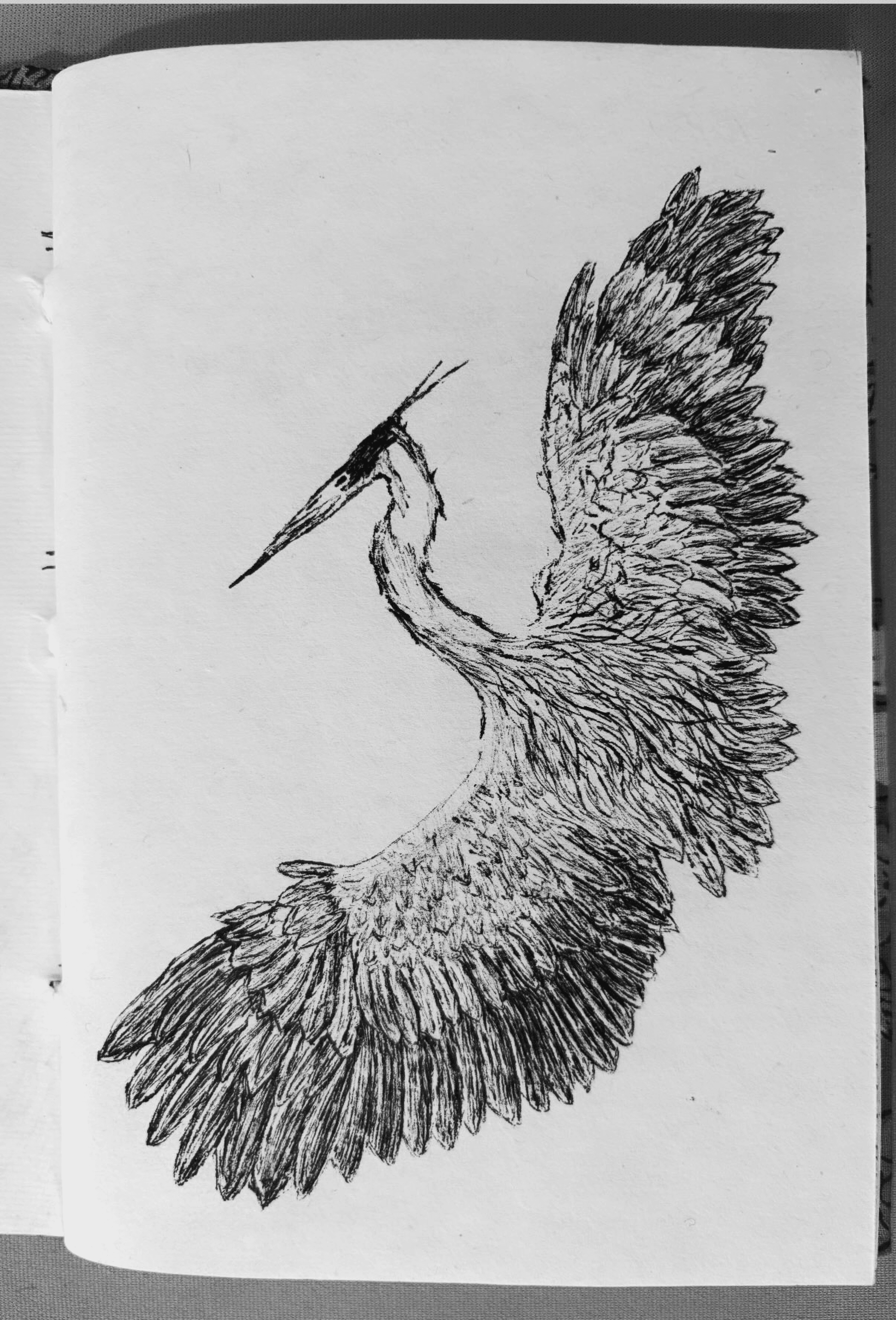 Sketches and doodling