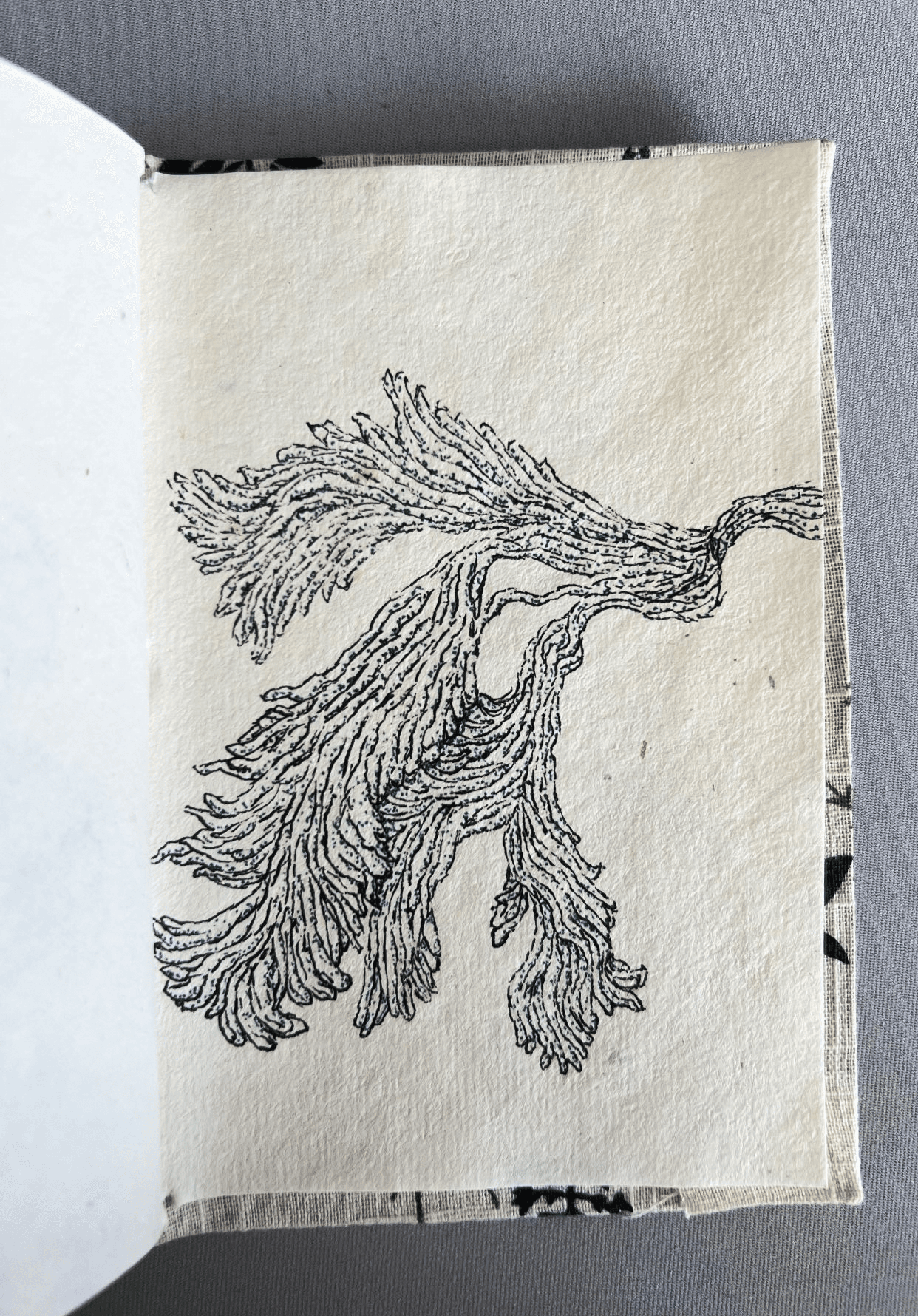Sketches and doodling