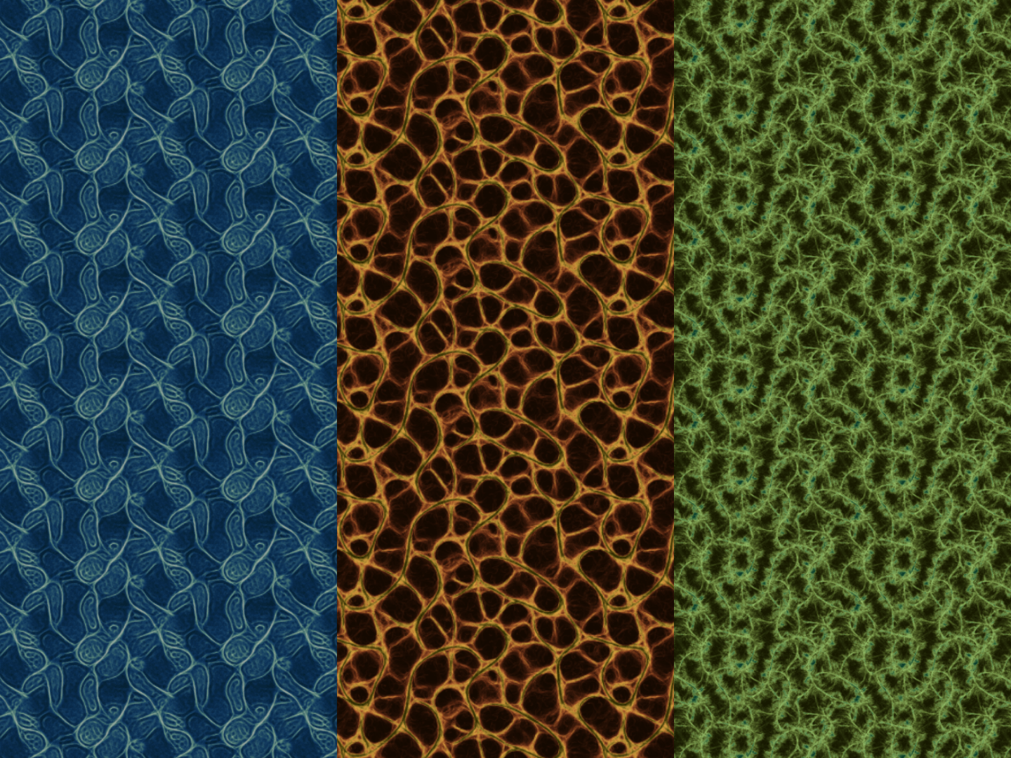 Emergence