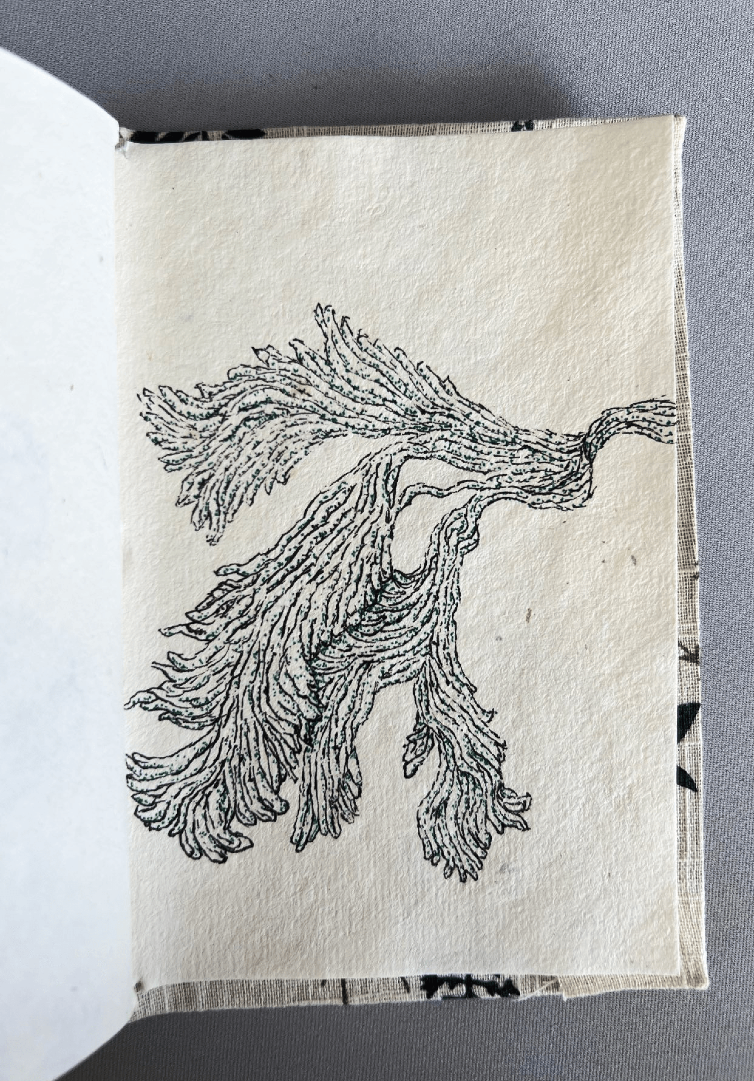 Sketches and doodling